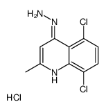 (5,8-dichloro-2-methylquinolin-4-yl)hydrazine,hydrochloride Structure