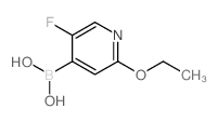 (2-乙氧基-5-氟吡啶-4-基)硼酸结构式