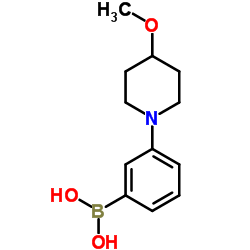 [3-(4-Methoxy-1-piperidinyl)phenyl]boronic acid结构式