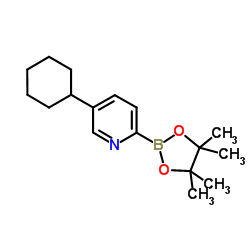 5-Cyclohexyl-2-(4,4,5,5-tetramethyl-1,3,2-dioxaborolan-2-yl)pyridine Structure