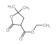 3-Furancarboxylic acid,tetrahydro-5,5-dimethyl-2-oxo-, ethyl ester Structure