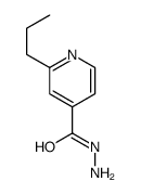 2-propylpyridine-4-carbohydrazide结构式