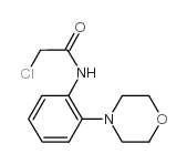 2-Chloro-N-(2-morpholin-4-yl-phenyl)-acetamide picture