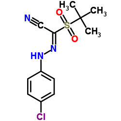 (2E)-[(4-Chlorophenyl)hydrazono][(2-methyl-2-propanyl)sulfonyl]acetonitrile Structure