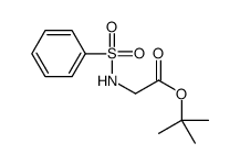 tert-butyl 2-(benzenesulfonamido)acetate图片