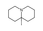 10-methylquinolizidine Structure