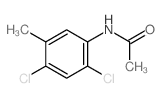 Acetamide,N-(2,4-dichloro-5-methylphenyl)- structure