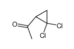 Ethanone, 1-(2,2-dichlorocyclopropyl)- (9CI) structure