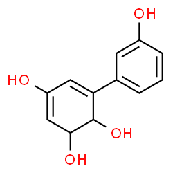 3,5-Cyclohexadiene-1,2,4-triol, 6-(3-hydroxyphenyl)- (9CI) structure