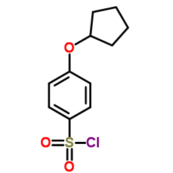 4-(Cyclopentyloxy)benzenesulfonyl chloride Structure