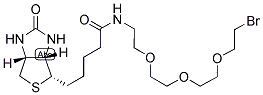 1-Biotinylamino-3,6,9-trioxaundecane-11-bromide Structure