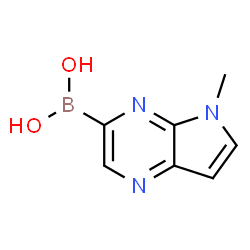 Boronic acid, B-(5-Methyl-5H-pyrrolo[2,3-b]pyrazin-3-yl)- picture