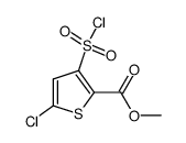 METHYL-5-CHLORO-3-CHLOROSULFONYL-2-THIOPHENE CARBOXYLATE structure