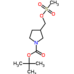 3-Methanesulfonyloxymethyl-pyrrolidine-1-carboxylic acid tert butyl ester picture