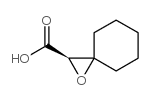 1-Oxaspiro[2.5]octane-2-carboxylicacid,(R)-(9CI)结构式