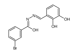 3-Bromo-N'-[(E)-(2,3-dihydroxyphenyl)methylene]benzohydrazide结构式