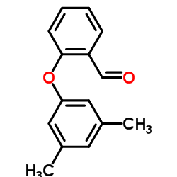 2-(3,5-Dimethylphenoxy)benzaldehyde picture