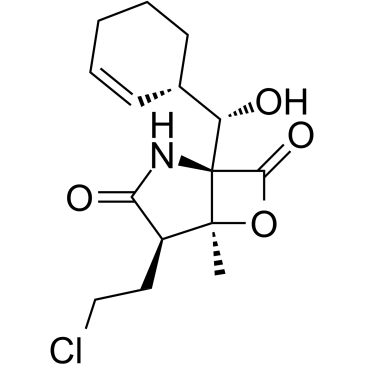 437742-34-2 structure