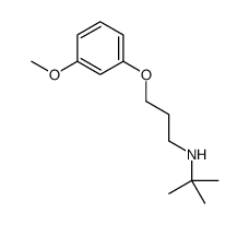 N-[3-(3-methoxyphenoxy)propyl]-2-methylpropan-2-amine Structure