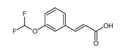(E)-3-(3-(difluoromethoxy)phenyl)acrylicacid Structure