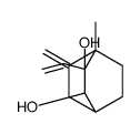 3-ethenyl-4-methyl-5-methylidenebicyclo[2.2.2]octane-2,3-diol Structure