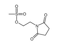 2-(2,5-dioxopyrrolidin-1-yl)ethyl methanesulfonate Structure