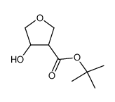 tert-butyl 4-hydroxytetrahydrofuran-3-carboxylate structure