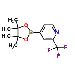 2-三氟甲基吡啶-4-硼酸频哪醇酯结构式