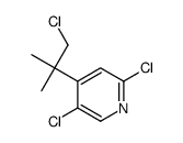 2,5-dichloro-4-(1-chloro-2-methylpropan-2-yl)pyridine结构式