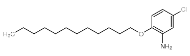 Benzenamine, 5-chloro-2-(dodecyloxy)- Structure