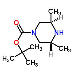 tert-butyl 3,5-dimethylpiperazine-1-carboxylate Structure