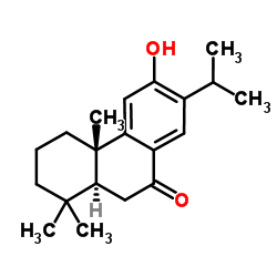 柳杉酚图片