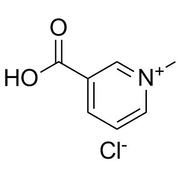 Trigonelline chloride picture