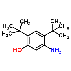 5-Amino-2,4-bis(2-methyl-2-propanyl)phenol structure