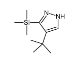 (4-tert-butyl-1H-pyrazol-5-yl)-trimethylsilane Structure