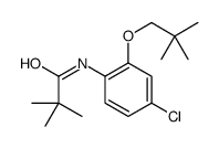 N-[4-chloro-2-(2,2-dimethylpropoxy)phenyl]-2,2-dimethylpropanamide结构式