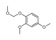 2,4-dimethoxy-1-(methoxymethoxy)benzene Structure