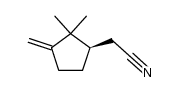 2,2-dimethyl-3-methylenecyclopentylacetonitrile Structure