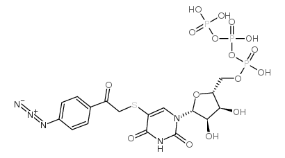 5-((4-azidophenacyl)thio)uridine 5'-triphosphate picture