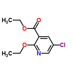 Ethyl 5-chloro-2-ethoxypyridine-3-carboxylate结构式