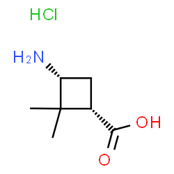 (1S,3R)-3-amino-2,2-dimethylcyclobutane-1-carboxylic acid hydrochloride structure