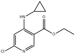 Ethyl 6-chloro-4-(cyclopropylamino)pyridine-3-carboxylate结构式