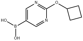 2-(Cyclobutoxy)pyrimidine-5-boronic acid结构式
