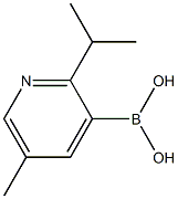 5-Methyl-2-(iso-propyl)pyridine-3-boronic acid picture