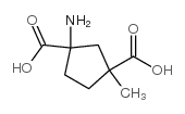 1,3-Cyclopentanedicarboxylicacid,1-amino-,3-methylester(9CI) structure