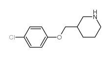 3-[(4-chlorophenoxy)methyl]piperidine结构式