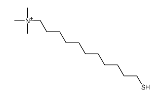 trimethyl(11-sulfanylundecyl)azanium结构式