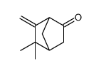 2,2-dimethyl-3-methylidenebicyclo[2.2.1]heptan-5-one Structure
