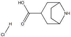 exo-8-氮杂双环[3.2.1]辛烷-3-羧酸盐酸盐结构式