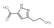 3-PROPYL-1H-PYRAZOLE-5-CARBOXYLIC ACID picture